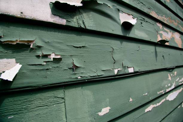 Best Residential Junk Removal  in Cedville, AR