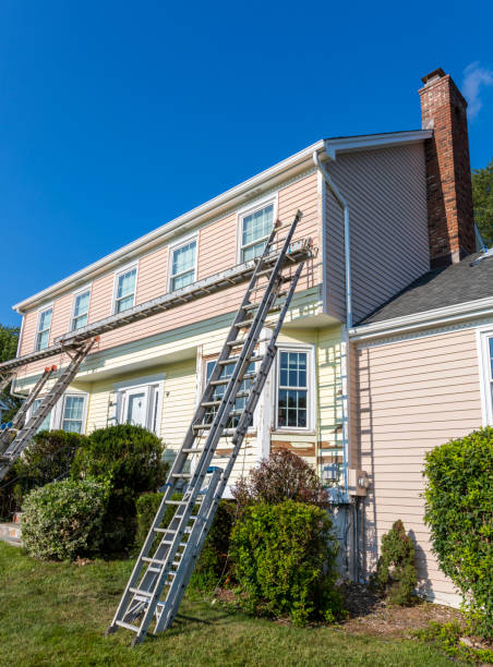 Best Carpet Removal and Disposal  in Cedville, AR